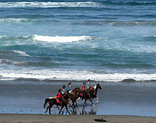 USA-California-Mendocino Coast Getaway